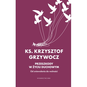 Przeszkody w życiu duchowym. Od zniewolenia do wolności - ks. Krzysztof Grzywocz